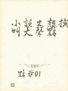 小说又想挨C了叫大声点