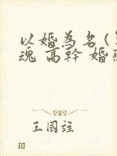 以婚为名 (军魂 高干 婚恋)