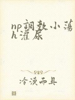 np调教小荡货h灌尿