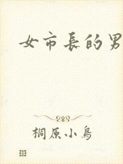 女市长的男秘书