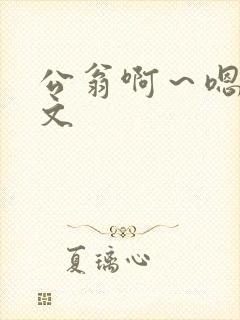 公翁啊～嗯啊h文