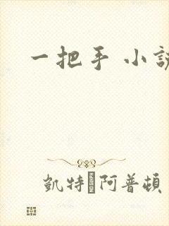 一把手 小说