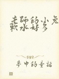 老师的小兔子好软水好多