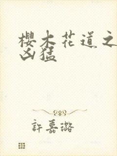 樱木花道之重生凶猛