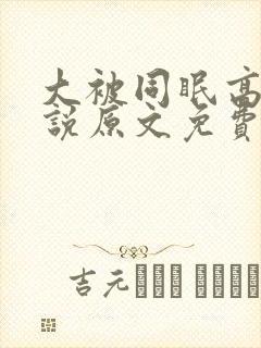 大被同眠高粱小说原文免费阅读