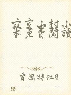 寂寞山村小说全本免费阅读