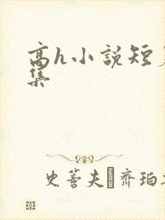 高h小说短篇合集