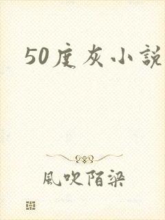 50度灰小说