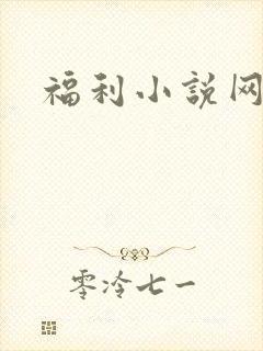 福利小说网