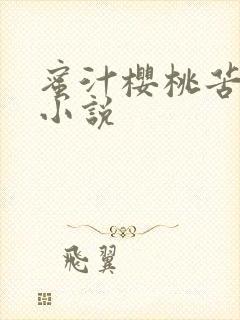 蜜汁樱桃苦咖啡小说