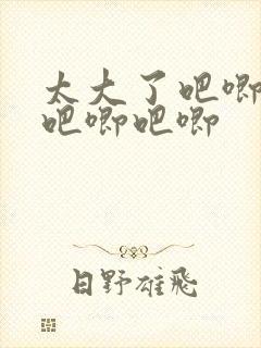 太大了吧唧吧唧吧唧吧唧