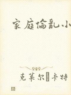 家庭伦乱小说