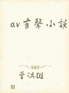 av有声小说
