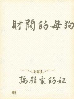 财阀的母狗们