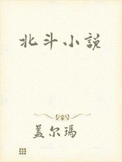 北斗小说