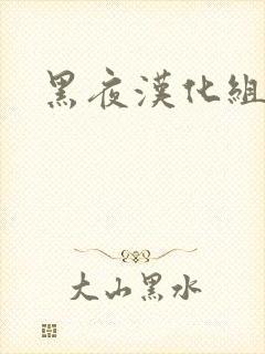 黑夜汉化组