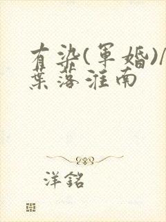 有染(军婚)/叶落淮南