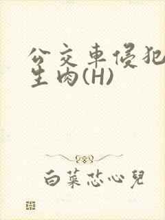 公交车侵犯小男生肉(H)