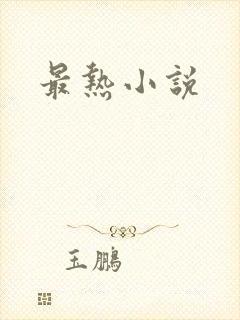 最热小说