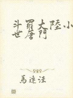 斗罗大陆小说绝世唐门