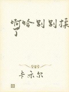 啊哈别别揉那处了