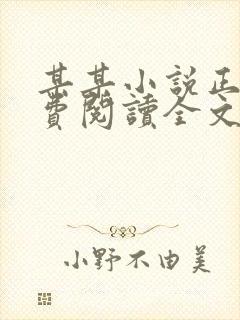 某某小说正版免费阅读全文无弹窗