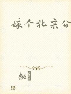 嫁个北宋公务员