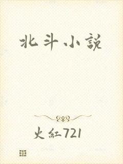 北斗小说