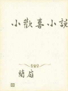 小欢喜小说