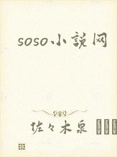 soso小说网