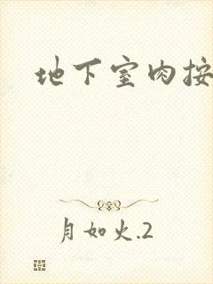 地下室肉按摩椅