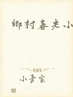 乡村春光小说
