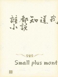 谁都知道我爱你小说