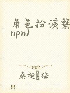 角色扮演系统(npn)