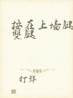 按在上墙腿探进双腿