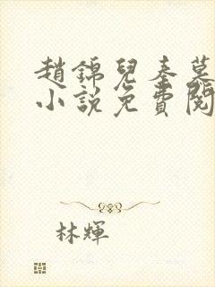 赵锦儿秦慕修的小说免费阅读全文