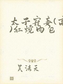 太子宠妾(高肉)红烧肉包