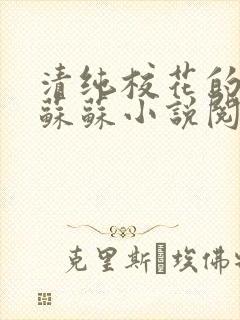 清纯校花的日常苏苏小说阅读全文