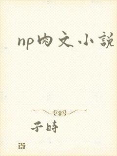 np肉文小说