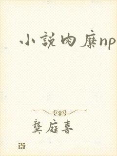 小说肉糜np