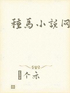 种马小说网
