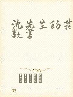 沈先生的花式调数书