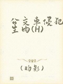 公交车侵犯小男生肉(H)