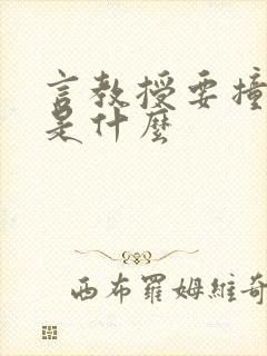 言教授要撞坏了是什么