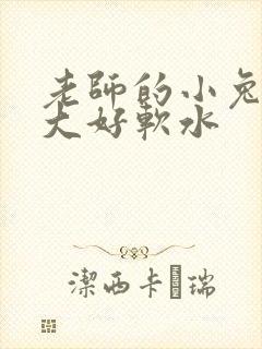 老师的小兔子好大好软水