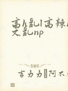高h乱l高辣h文乱np