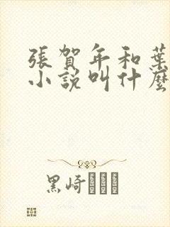 张贺年和叶繁姿小说叫什么名字