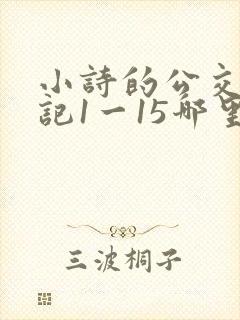 小诗的公交车日记1一15哪里能看