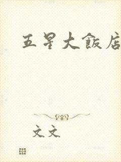 五星大饭店小说