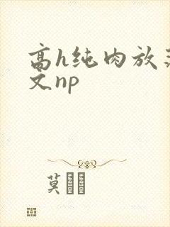 高h纯肉放荡h文np